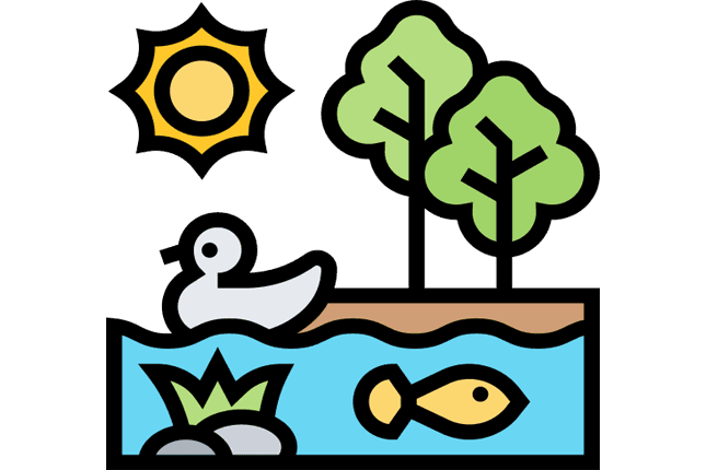 Ecosystems and Biomes